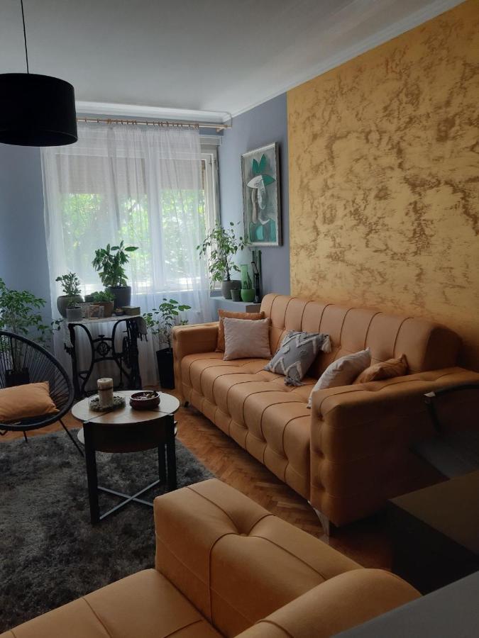 Aparmani Djuric Apartment Subotica Exterior photo